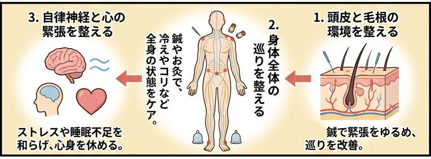 ハリトカミの育毛鍼灸で大切にしている3つのケア